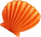 a pair of orange seashells.jpg